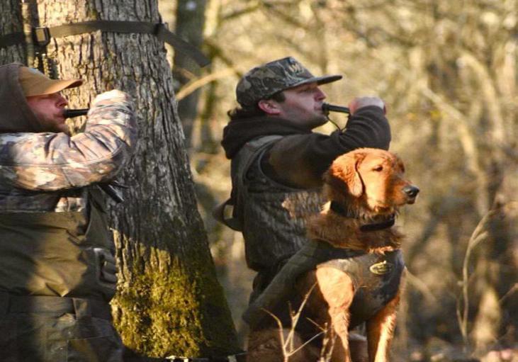 The Hunt calling the Ducks PBG Kennels